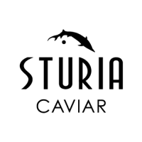 Sturia